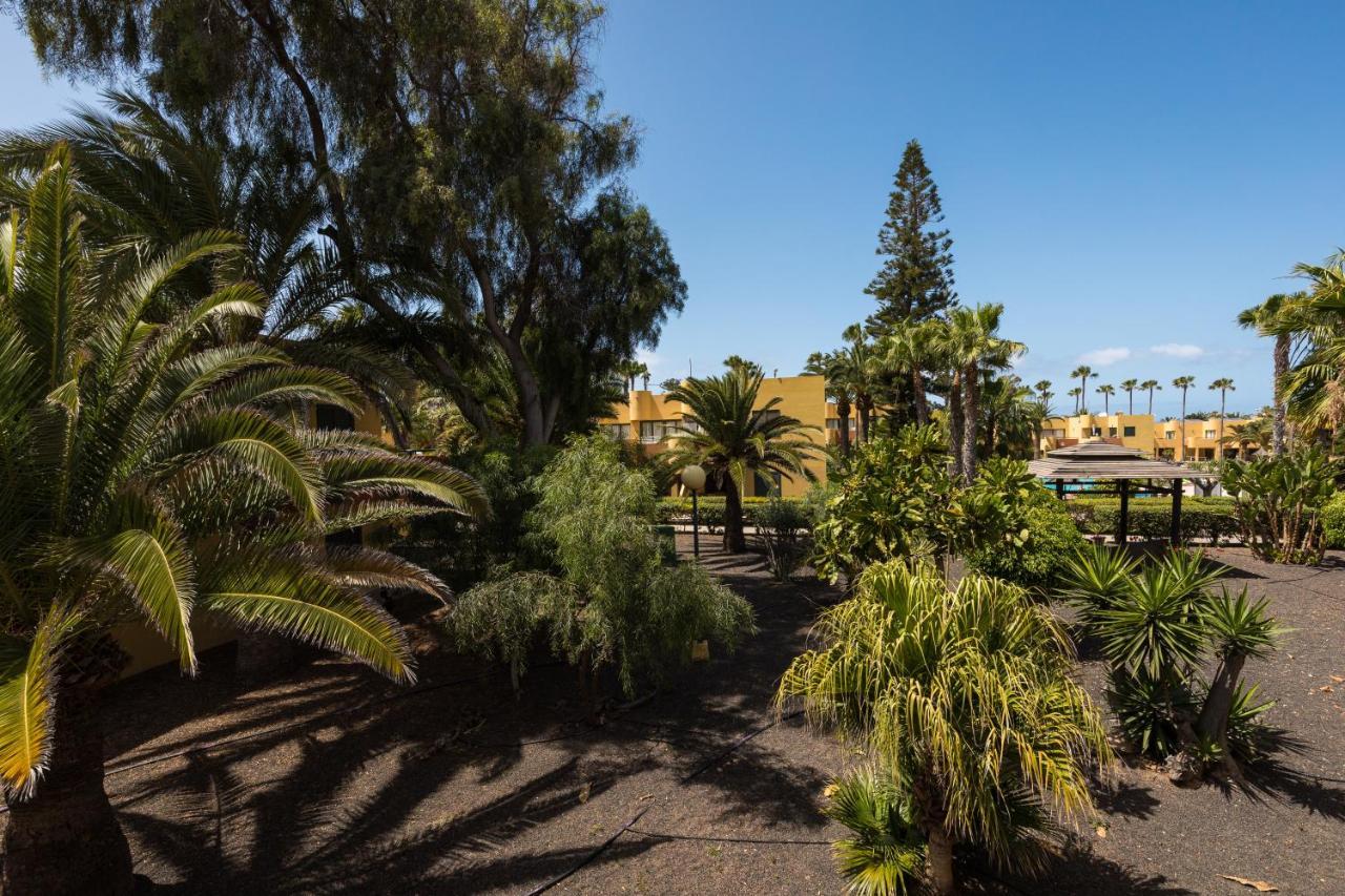 Blue Pearl Apartment Corralejo Luaran gambar
